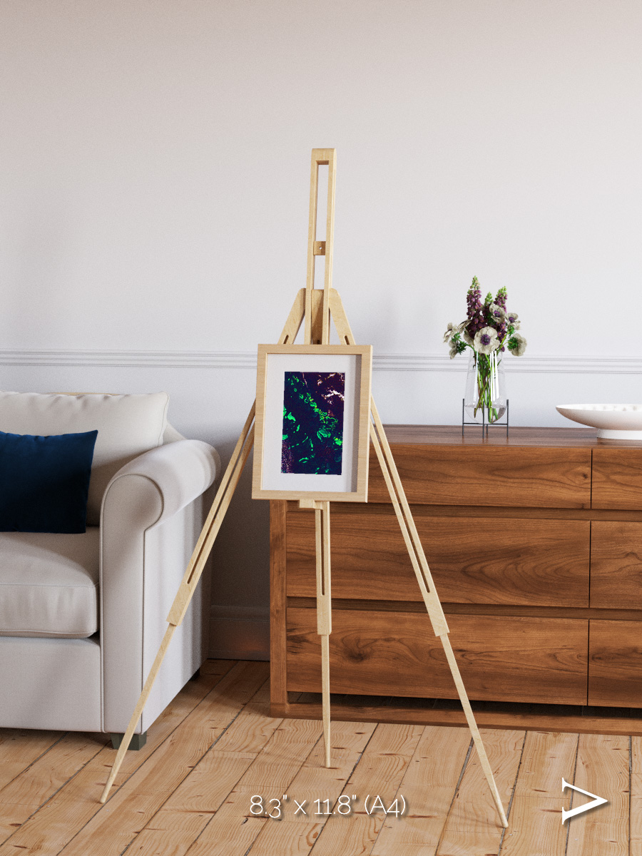 Patterned Ground, Great Barrier Reef Framed & Mounted Print