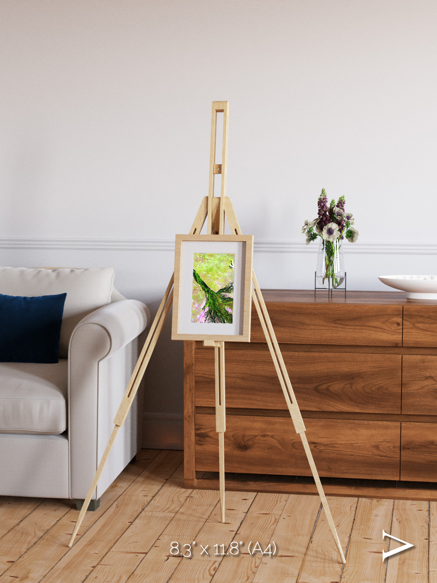 Inland Bloom, Okavango Framed & Mounted Print