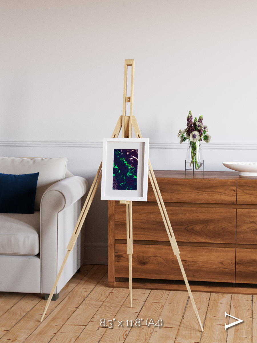 Patterned Ground, Great Barrier Reef Framed & Mounted Print