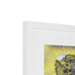 Dormant Giants, Pinacate Volcano Field Framed & Mounted Print
