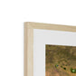 Winding Waters, Australia Framed & Mounted Print