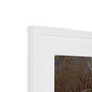 Windwritten Dunes, Brandberg Massif Framed & Mounted Print
