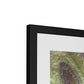 Channel Lines, Konari Iran Framed & Mounted Print