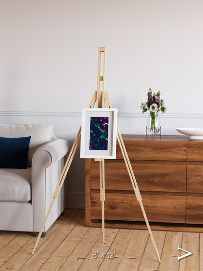 Patterned Ground, Great Barrier Reef Framed & Mounted Print