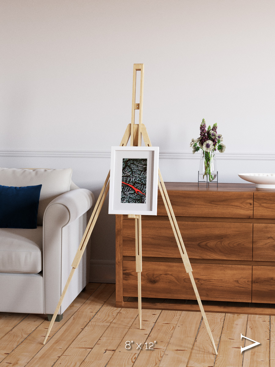 Light in the Trench, Canadian Rockies Framed & Mounted Print