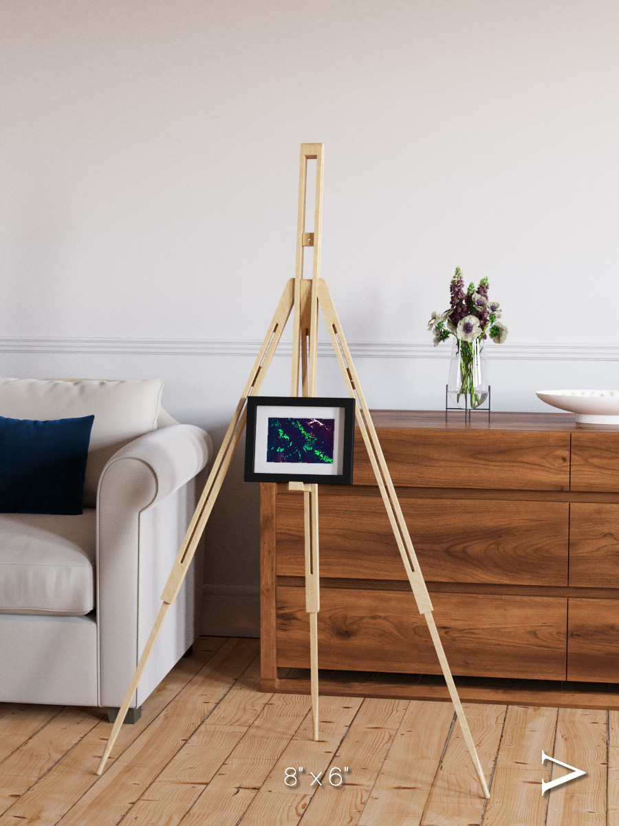 Patterned Ground, Great Barrier Reef Framed & Mounted Print