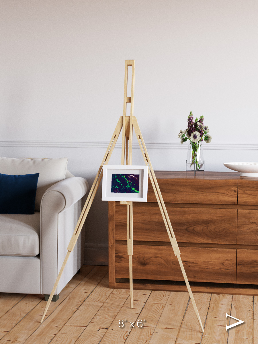 Patterned Ground, Great Barrier Reef Framed & Mounted Print