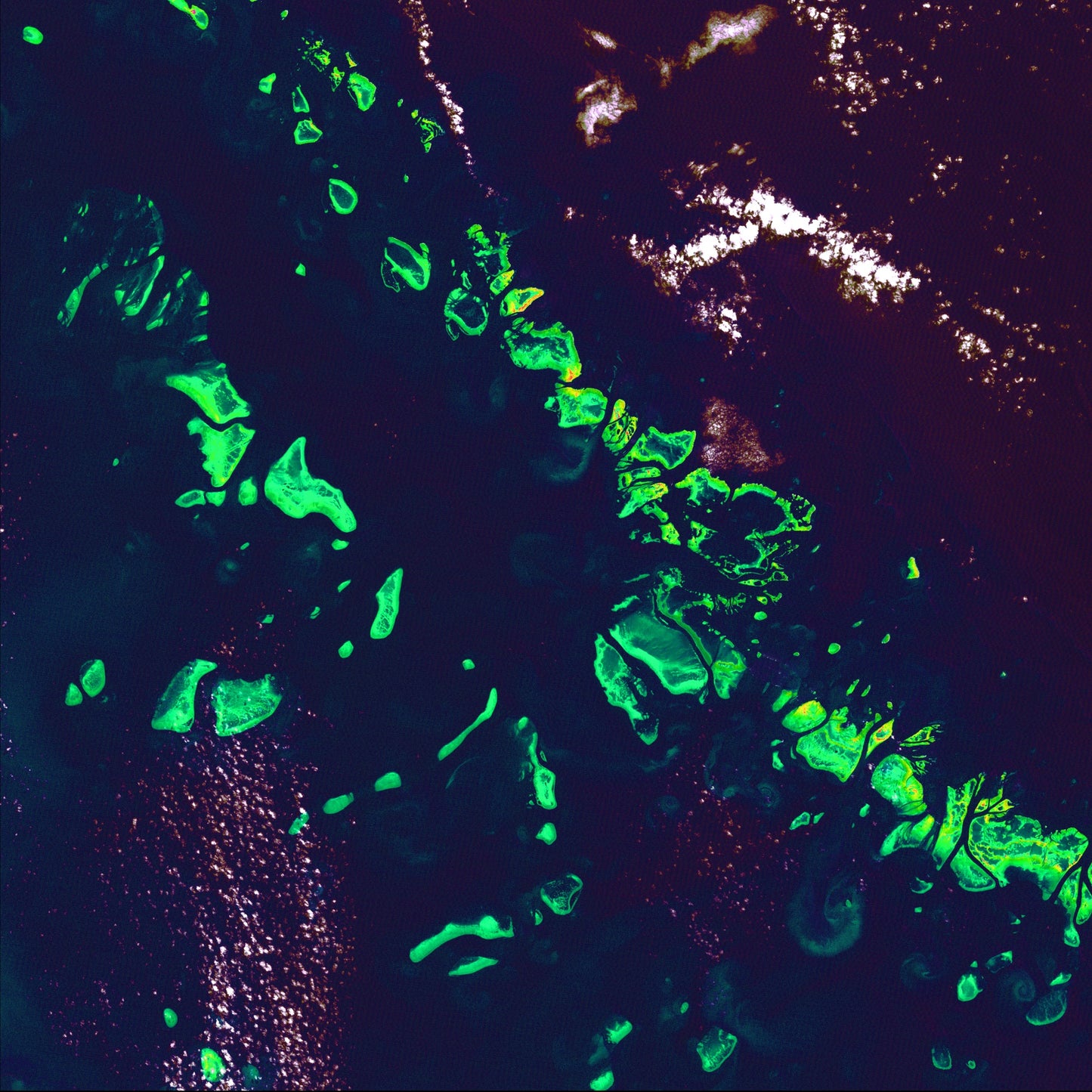 Patterned Ground, Great Barrier Reef Framed & Mounted Print