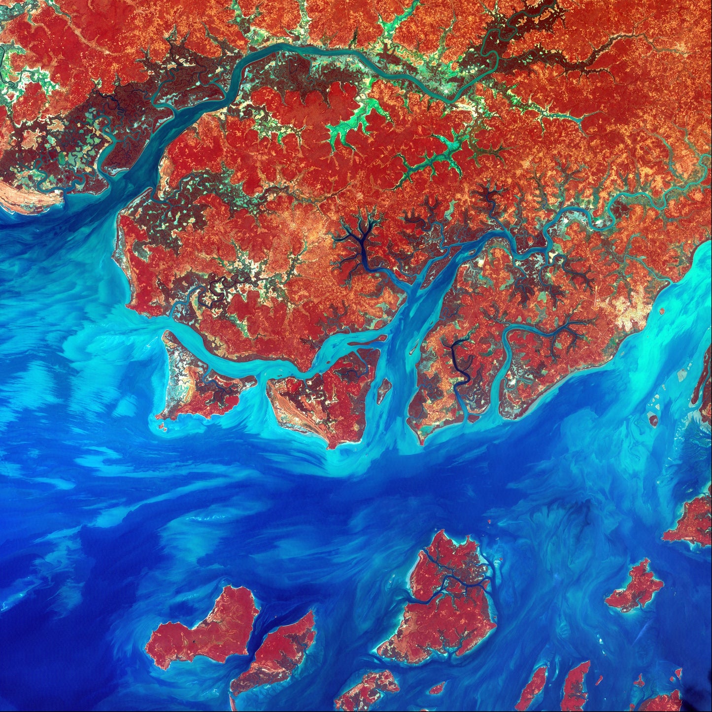 River and Plain, Guinea-Bissau Framed & Mounted Print