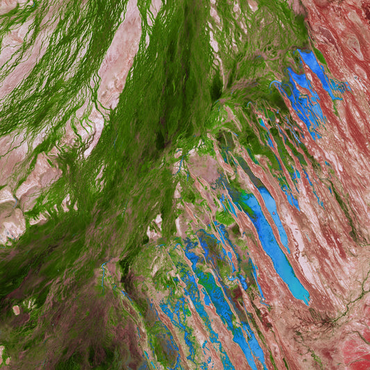 Desert Bloom, Lake Eyre Basin Framed & Mounted Print