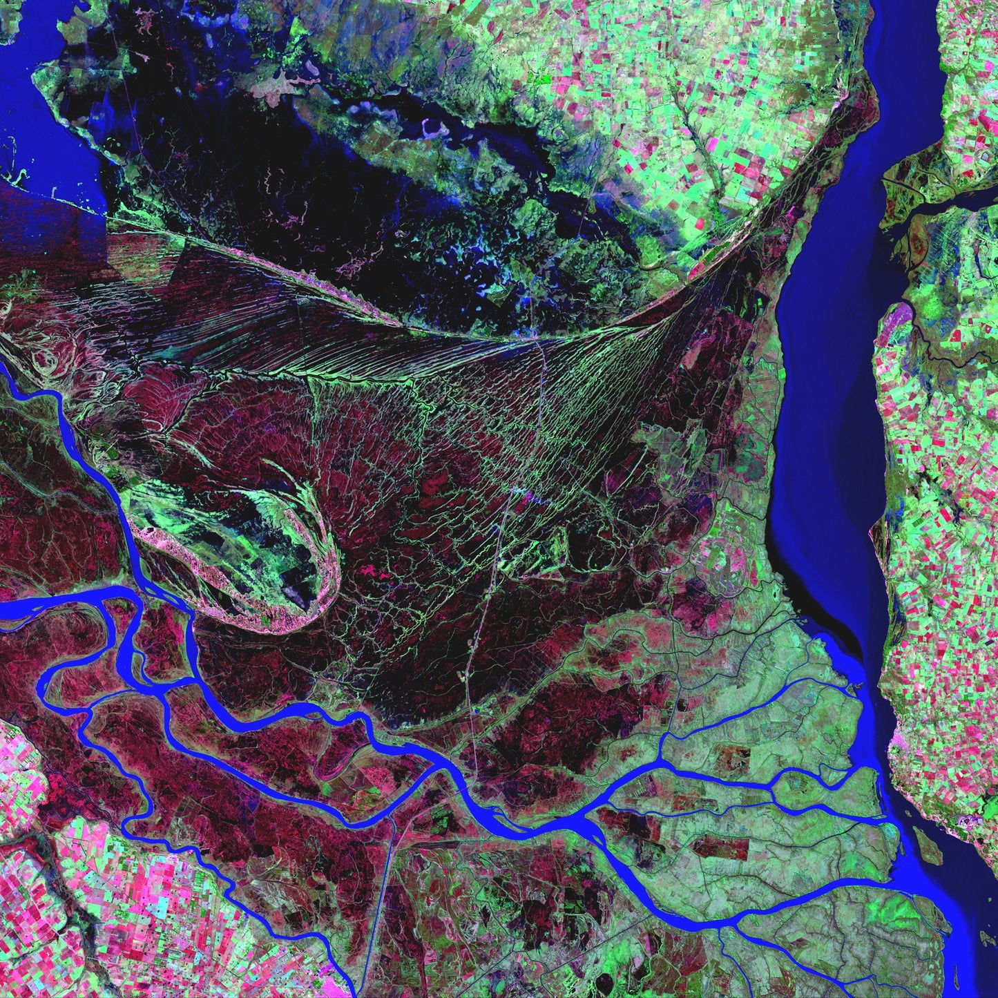 Braided Delta, Parana River Delta Framed & Mounted Print