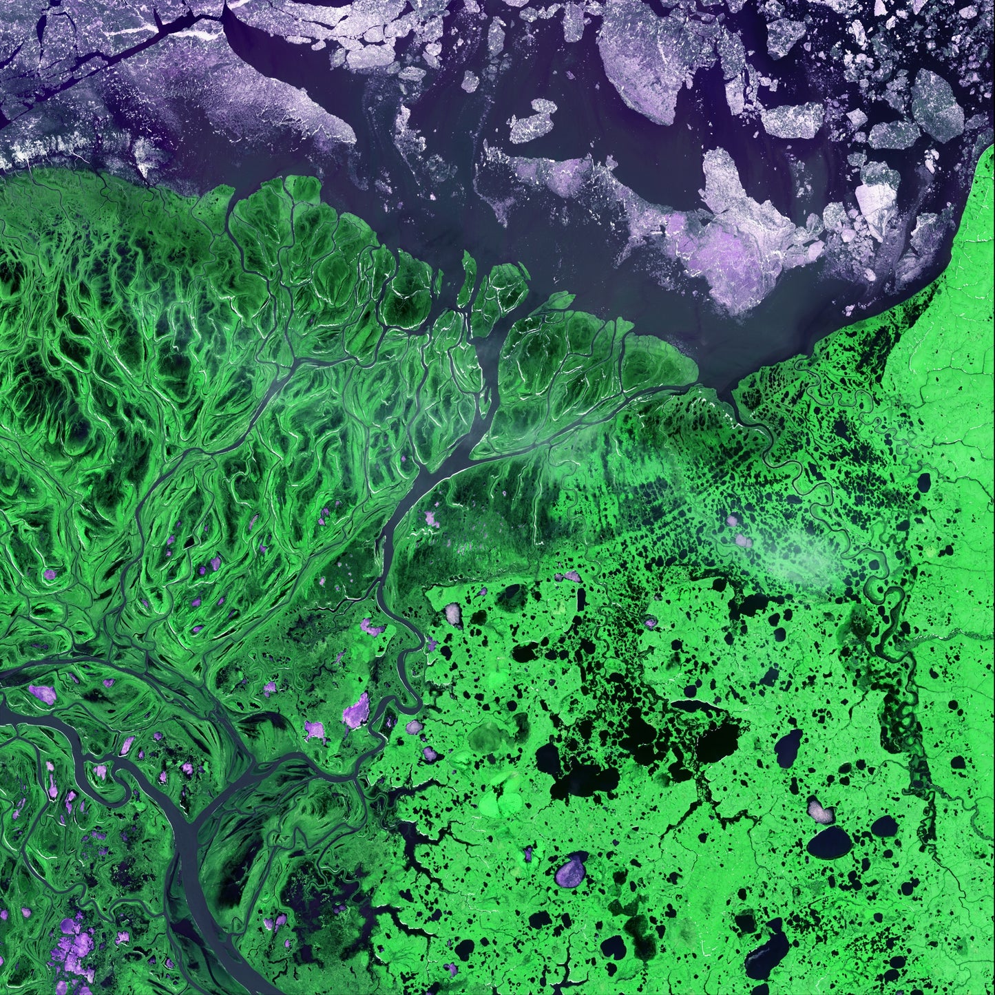 Polar Flow, Yukon Delta Framed & Mounted Print