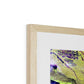 Painted Archipelago, Jau Park Framed & Mounted Print