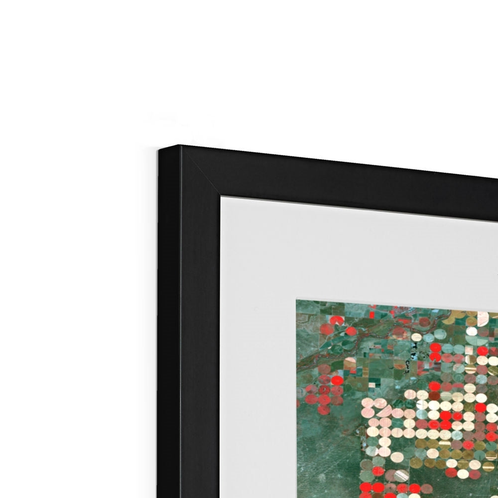 Patterns of Growth, Garden City Framed & Mounted Print