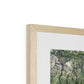 Saline Patterns, Bogda Mountains Framed & Mounted Print
