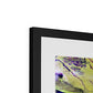Painted Archipelago, Jau Park Framed & Mounted Print