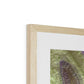 Channel Lines, Konari Iran Framed & Mounted Print