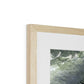 Rugged Relief, Coahuila Mexico Framed & Mounted Print